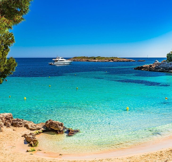 Palma Bay & Illetas Boat Tour with Snorkelling & Swim Stop