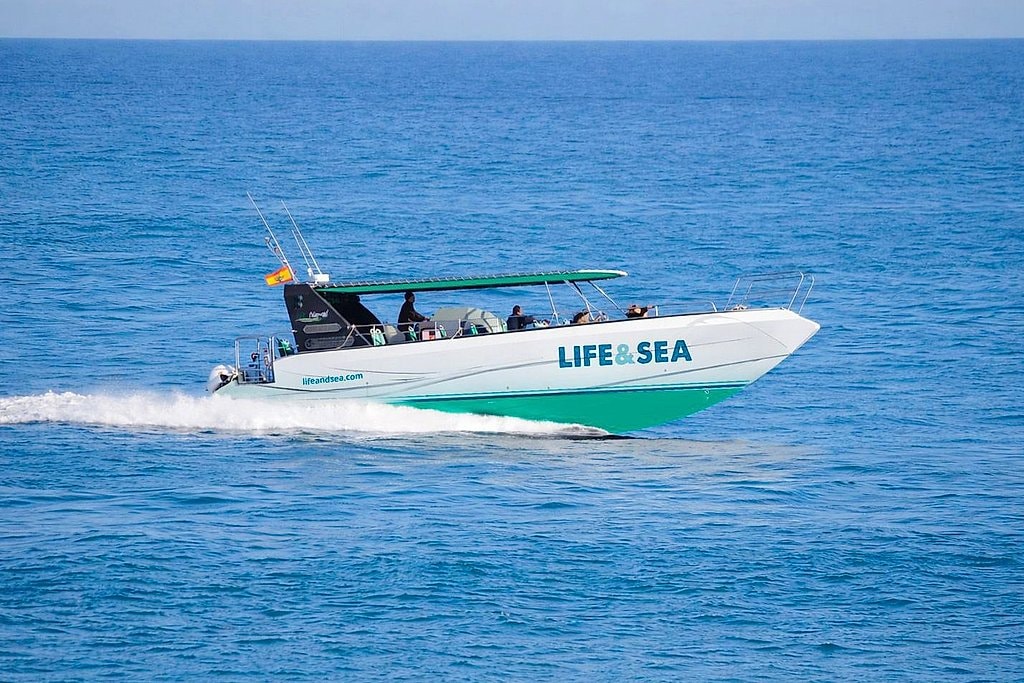 Palma Bay Snorkel Boat Trip Adventure