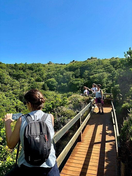 Half Day Terceira Island 4x4 Jeep Adventure Tour