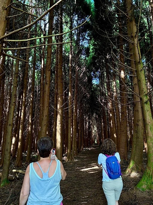 Half Day Terceira Island 4x4 Jeep Adventure Tour