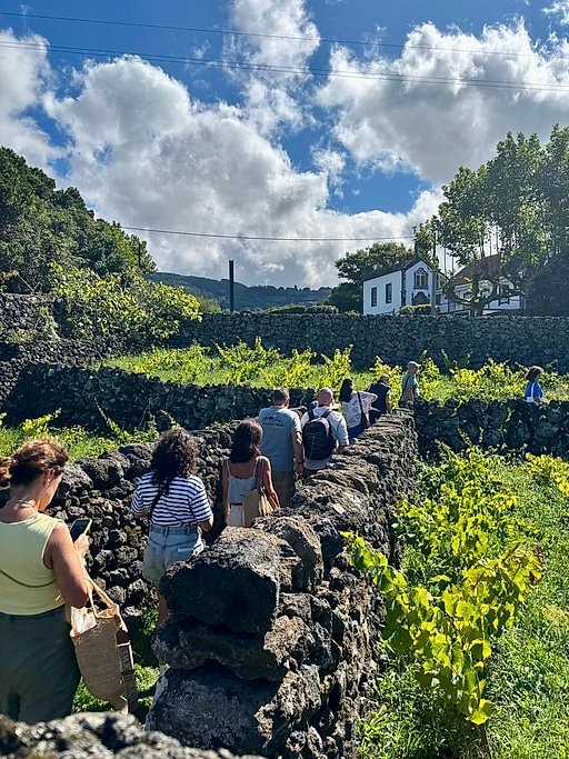 Half Day Terceira Island 4x4 Jeep Adventure Tour