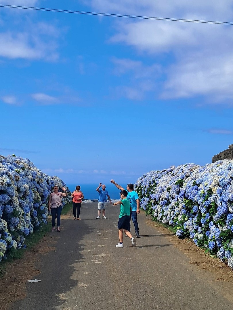Azores Farm Tour With Traditional Lunch