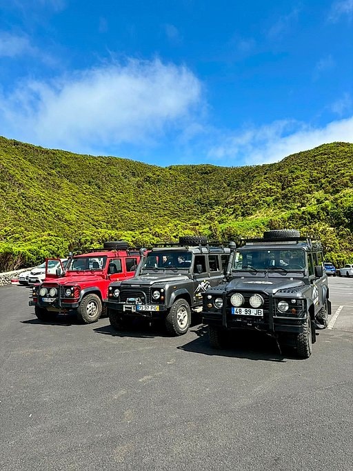 Terceira Island Whale Watching and Jeep Tour